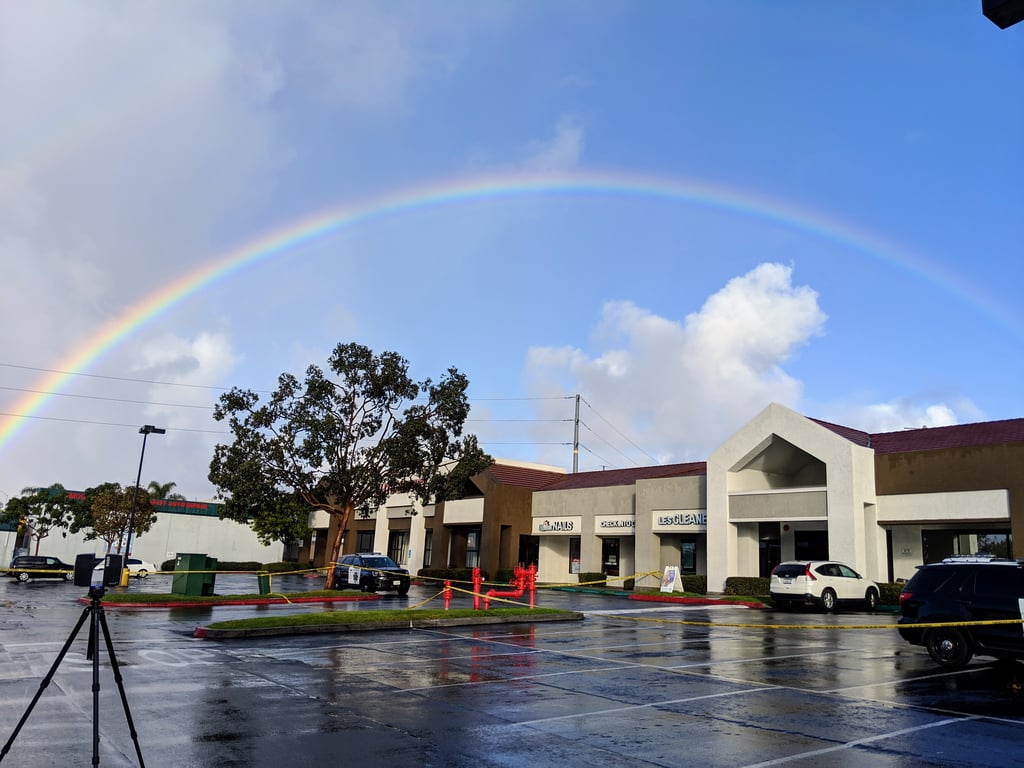 January 6, 2019 - There is beauty everywhere, you just have to look